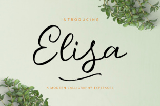 Elisa: A Fresh and Modern Font for Creative Projects