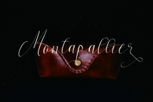 Montapallier Script: Elegant Typography for Every Need