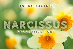The Narcissus Font: A Stylish Choice for Design Projects